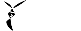 Sandunga Dance Company